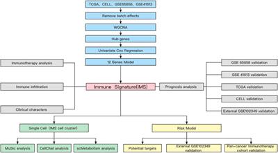 A novel immune signature predicts immunotherapy responsiveness and reveals the landscape of the tumor immune microenvironment in head and neck squamous cell carcinoma